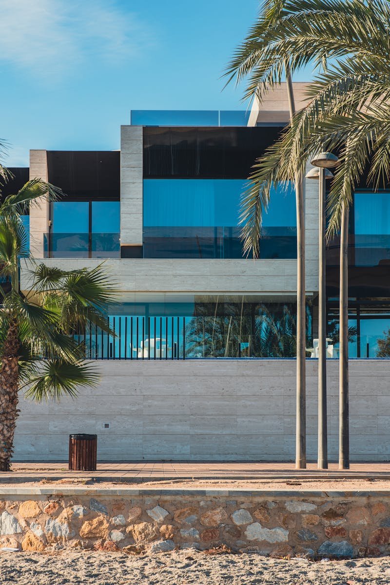 Contemporary beachfront villa with palms, showcasing tropical and modern architecture.